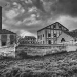 factory, abandoned, birds-8413241.jpg